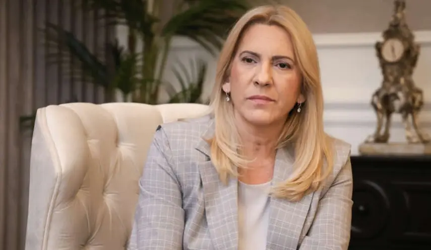 CVIJANOVIĆ: BIH’S EUROPEAN PATH WITH EU SUPPORT AND WITHOUT THIRD-PARTY INTERFERENCE