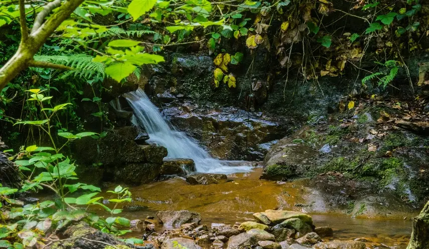 GUBER NATURE PARK UNDER PROTECTION