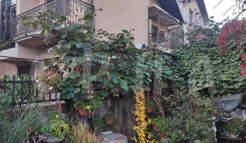 KIWI PLANT HAS BORNE FRUIT IN OBILIĆEVO