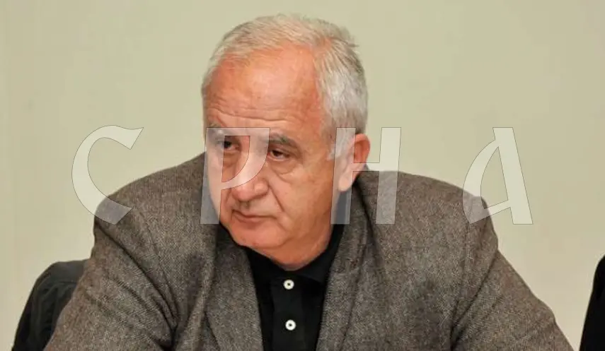 ŠEHIĆ: CEC HAS NO AUTHORITY OVER INTERNAL ORGANIZATION OF POLITICAL PARTIES