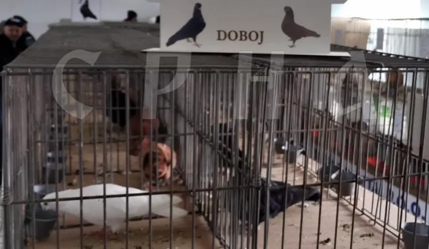 17th INTERCITY EXHIBITION OF SMALL ANIMALS HELD