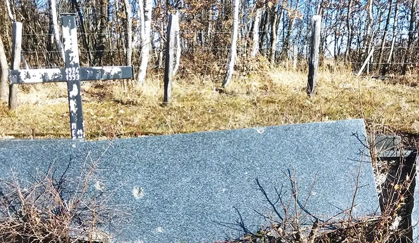 SARAJEVO'S LEGAL-POLITICAL GAMES OVER SERB LAND