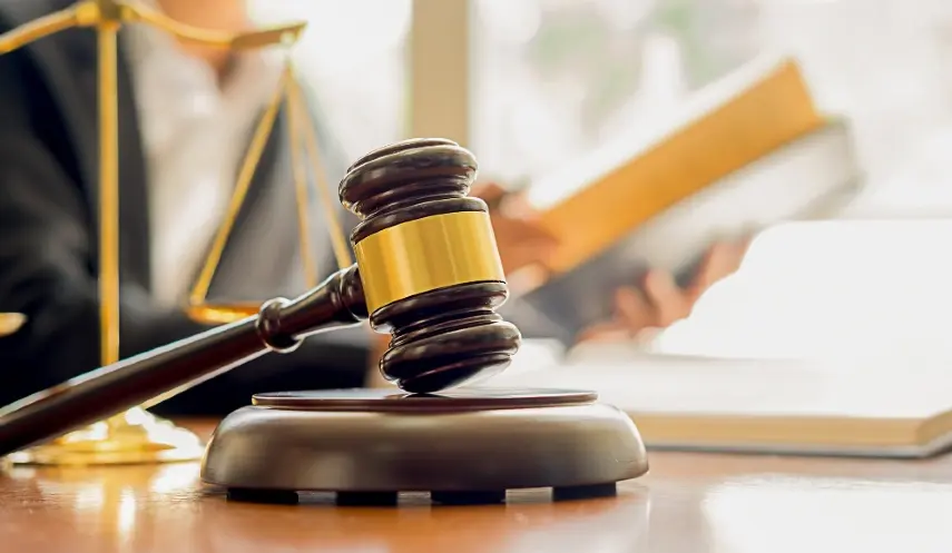 FLYNN: JUDICIARY IN SERVICE OF POLITICS, TRUMP AND DODIK HAVE FELT IT