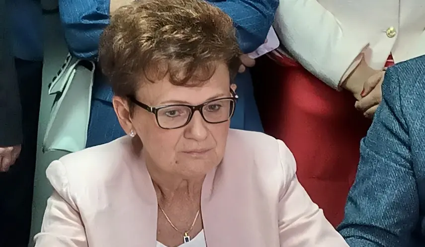 STEVANOVIĆ: I WILL CONTINUE MY POLITICAL WORK IN SNSD, MY WORK WILL BE EVEN MORE VISIBLE