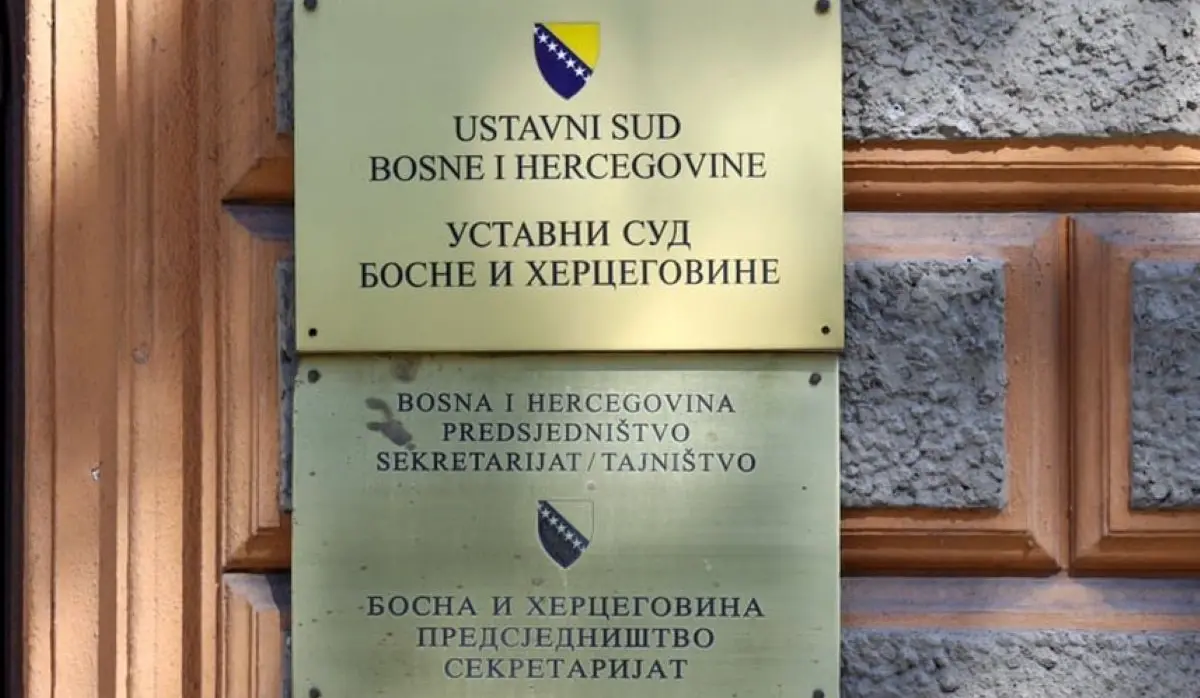 CONSTITUTIONALITY REVIEW OF SCHMIDT-IMPOSED PROVISIONS IS “COMPLEX TASK”