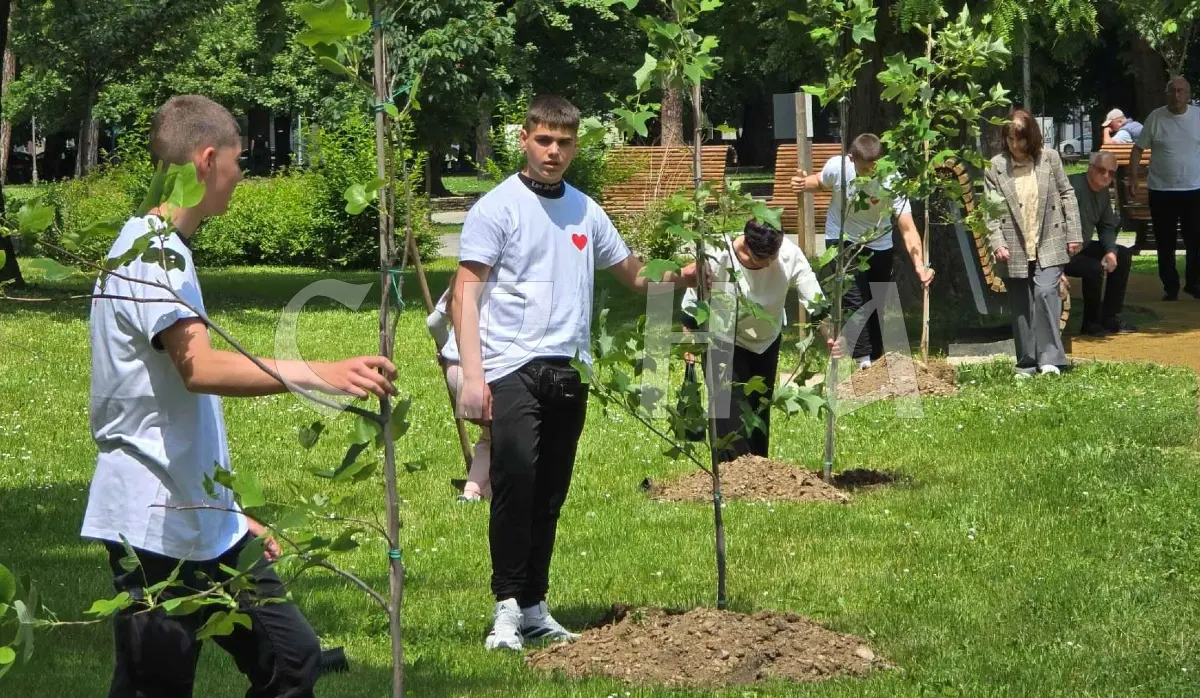 12 BABIES ALLEY PLANTED - ETERNAL REMINDER OF BANJA LUKA BABIES TRAGEDY