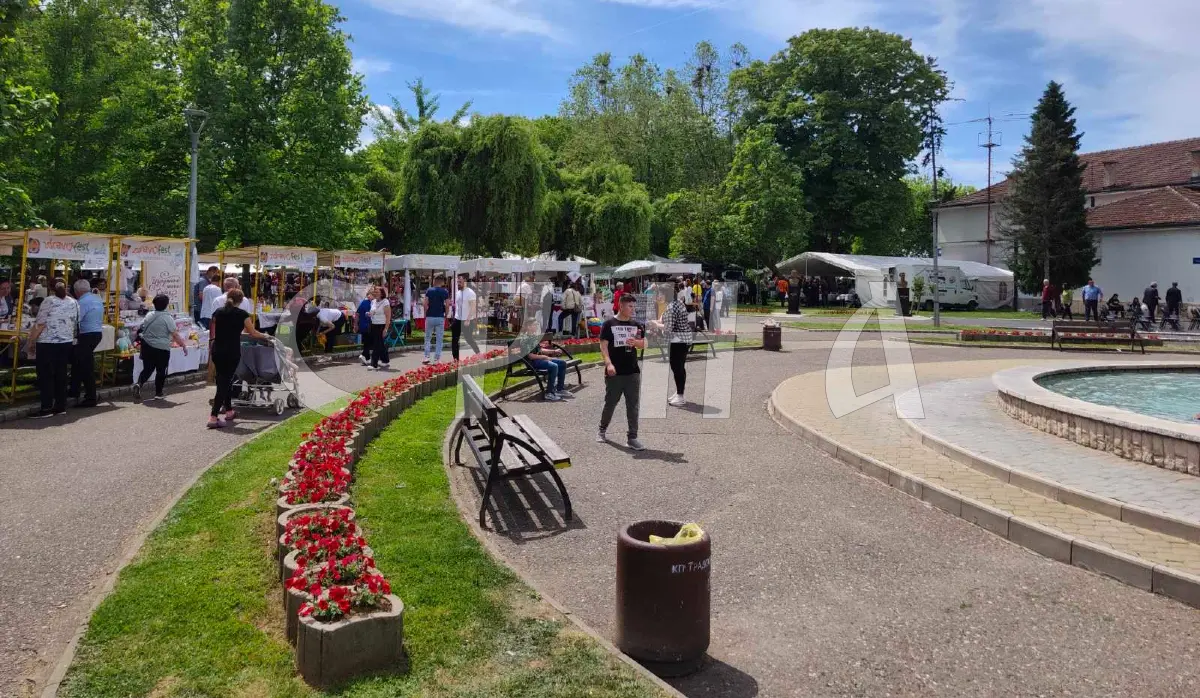 LARGE NUMBER OF PARTICIPANTS AND VISITORS AT ZDRAVOFEST