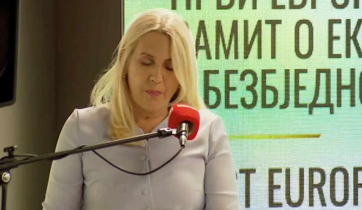 CVIJANOVIĆ: NEW APPROACH OF U.S. ADMINISTRATION - ONLY WAY TOWARDS EQUALITY FOR ALL IN BiH