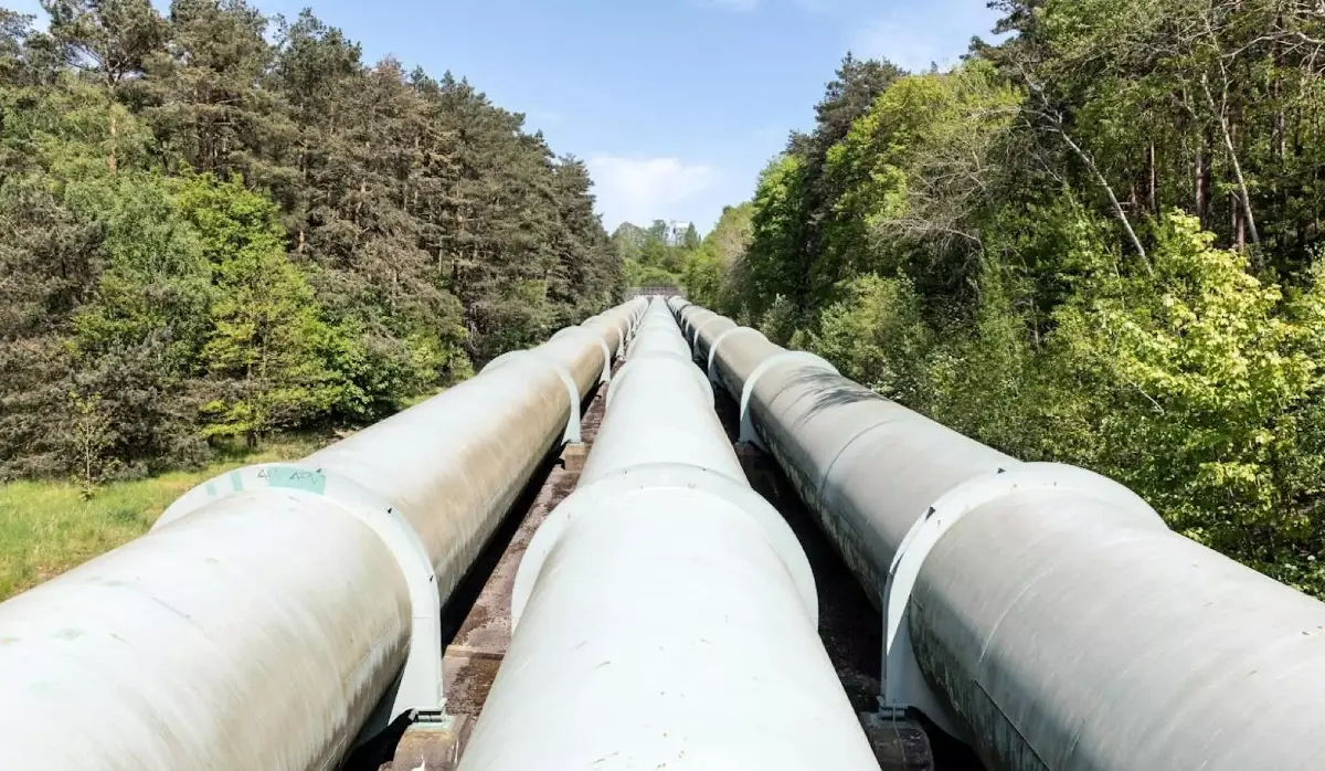 EU MUST DROP THE IDEA OF "MORAL SUPERIORITY" AND CONTINUE BUYING RUSSIAN ENERGY