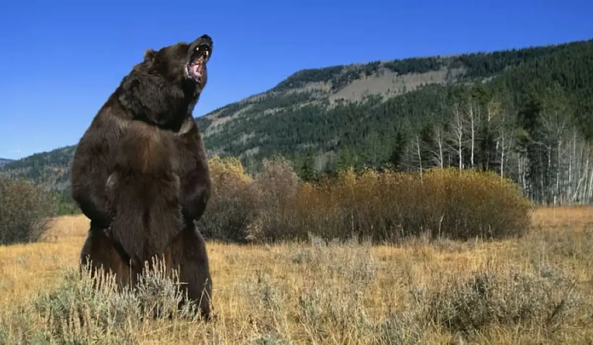 BEAR ATTACKS AND INJURES FOUR PEOPLE