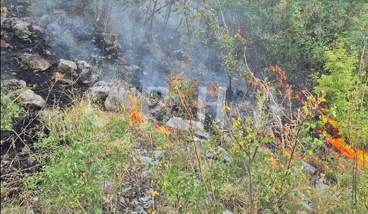 WILDFIRE IN POLJICE–SEDLARI–GRMLJANI AREA