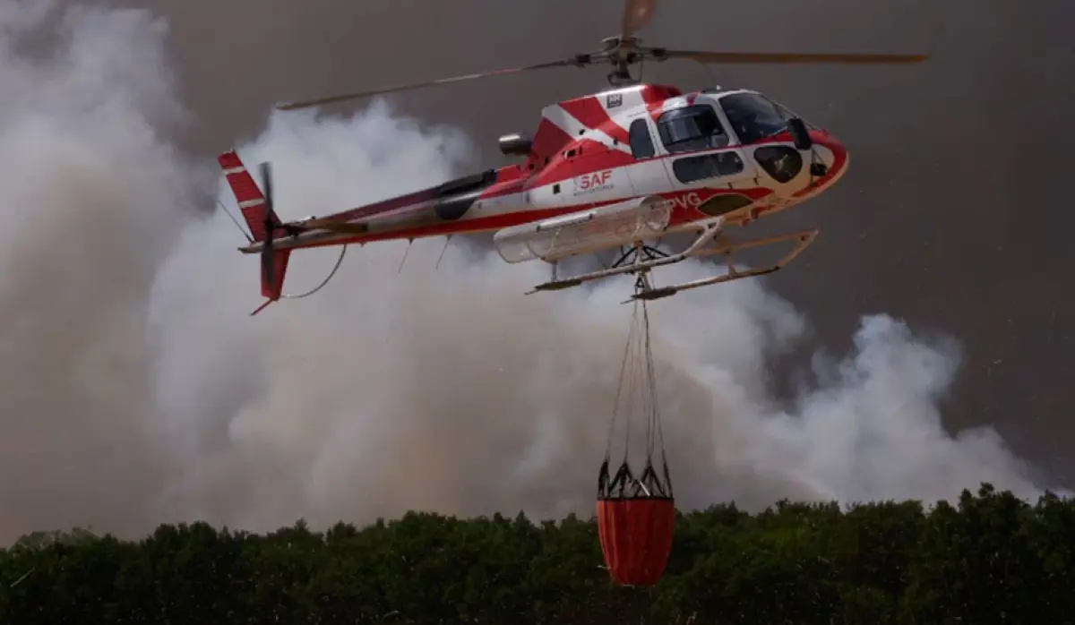 RECORD NUMBER OF FOREST FIRES SINCE WORLD WAR II
