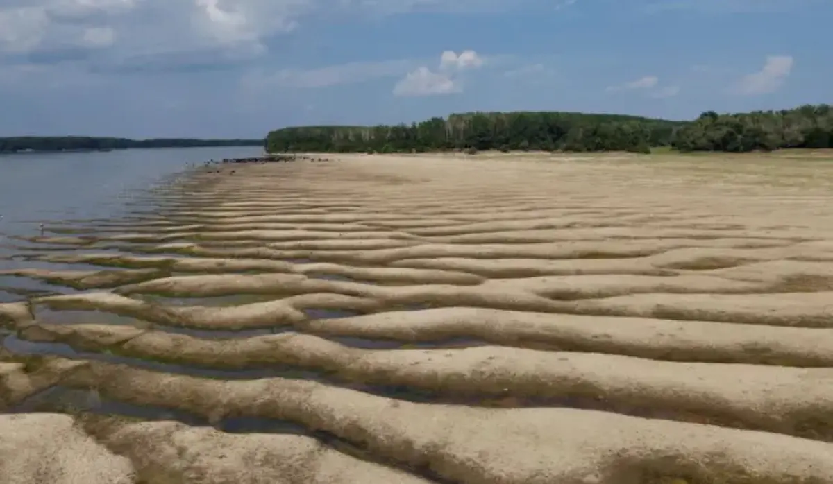PAKS TO SHUT DOWN REACTOR DUE TO FALLING DANUBE WATER LEVELS