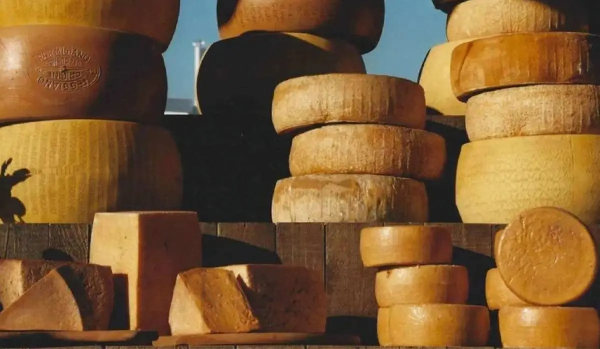EXTREME HEAT THREATENS PARMIGIANO REGGIANO CHEESE PRODUCTION