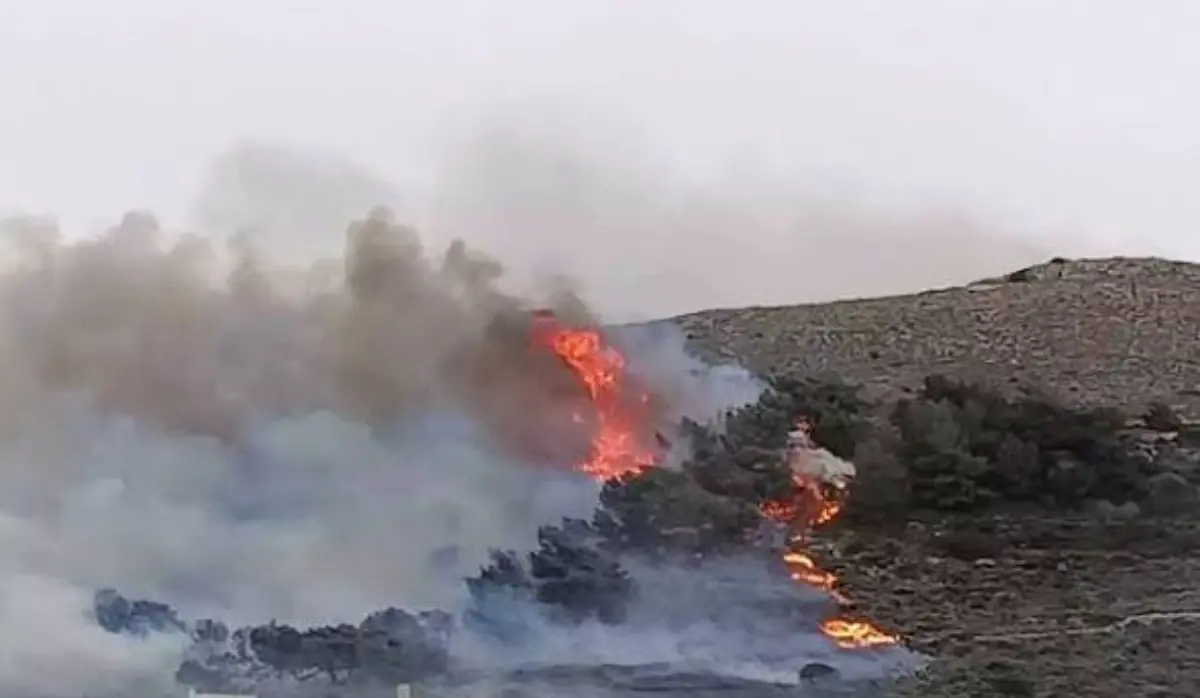 WILDFIRES IN EVROS REGION AND ON PAROS ISLAND