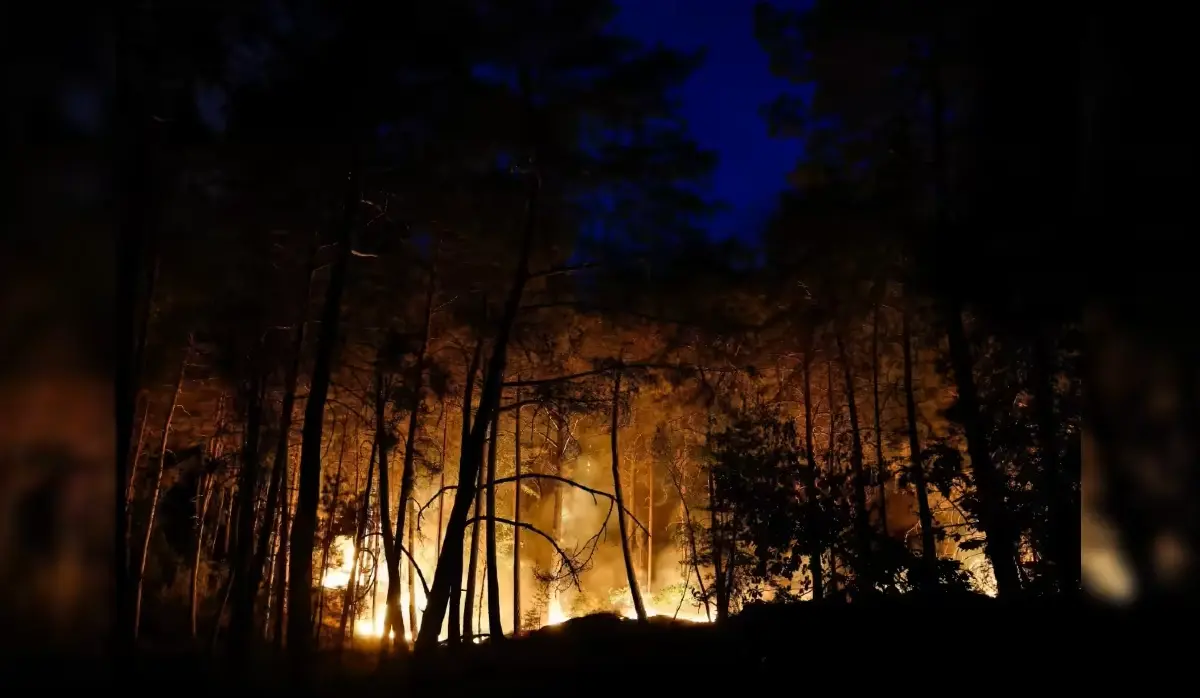 AROUND 900 PEOPLE EVACUATED FROM FOREST AREA NEAR PARIS