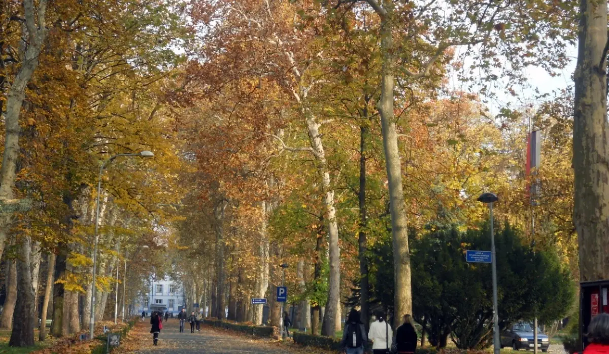 VIPOTNIK: UNIVERSITY CITY - THE MOST SIGNIFICANT PARK AREA IN BANJALUKA