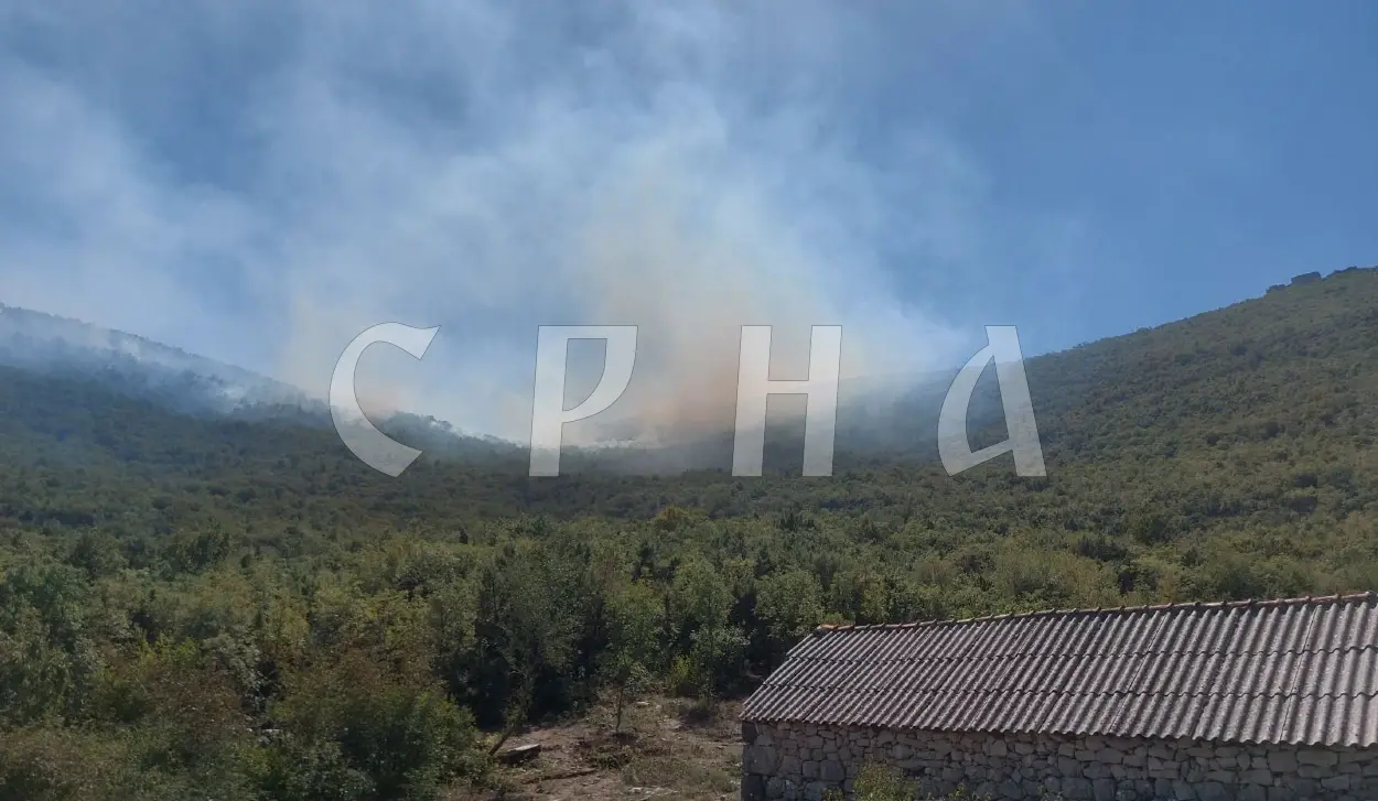 VUKADIN: TWO FIRES ON TREBEVIĆ HAVE FLARED UP AGAIN