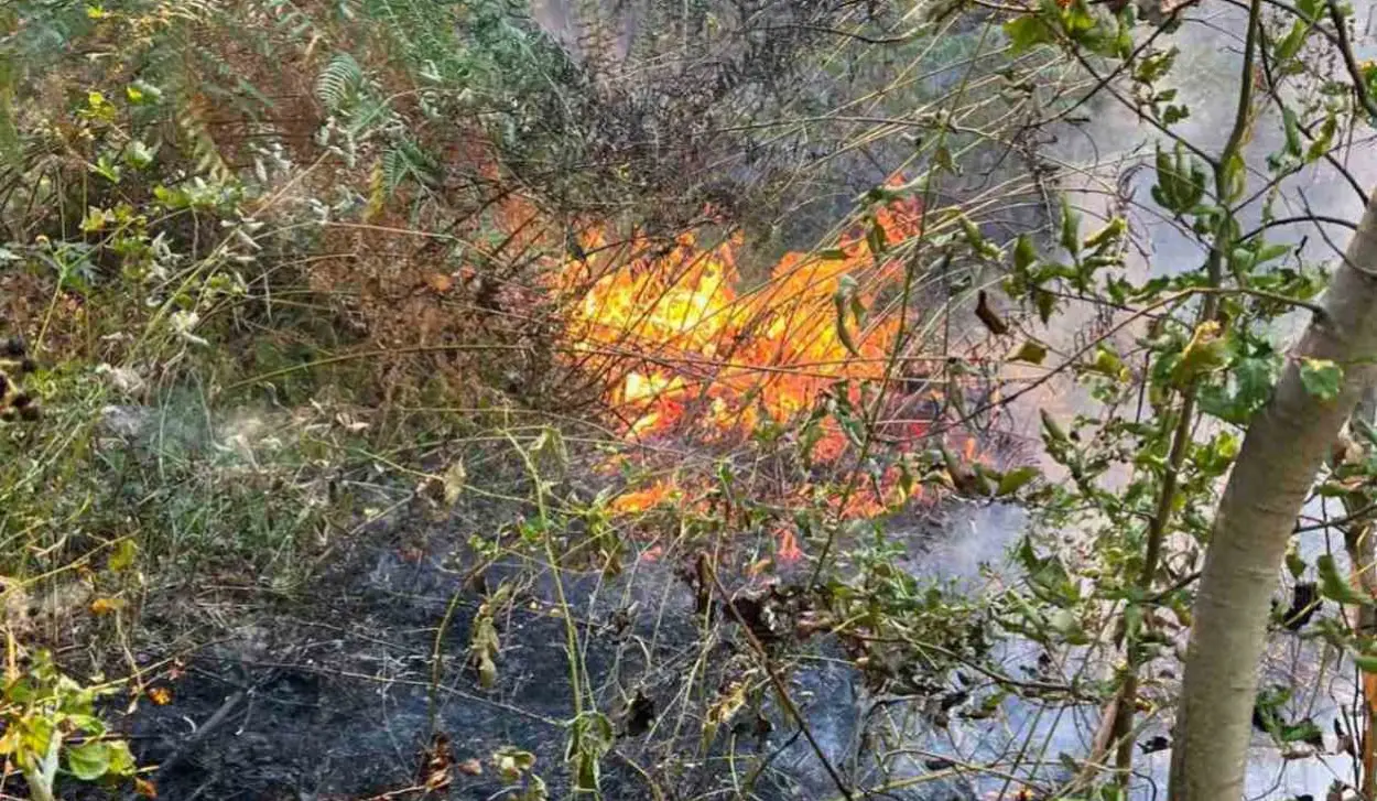 FIRE FROM VELJOVA GLAVA SPREADING DOWN TOWARD HOUSES, FIREFIGHTERS ON THE GROUND
