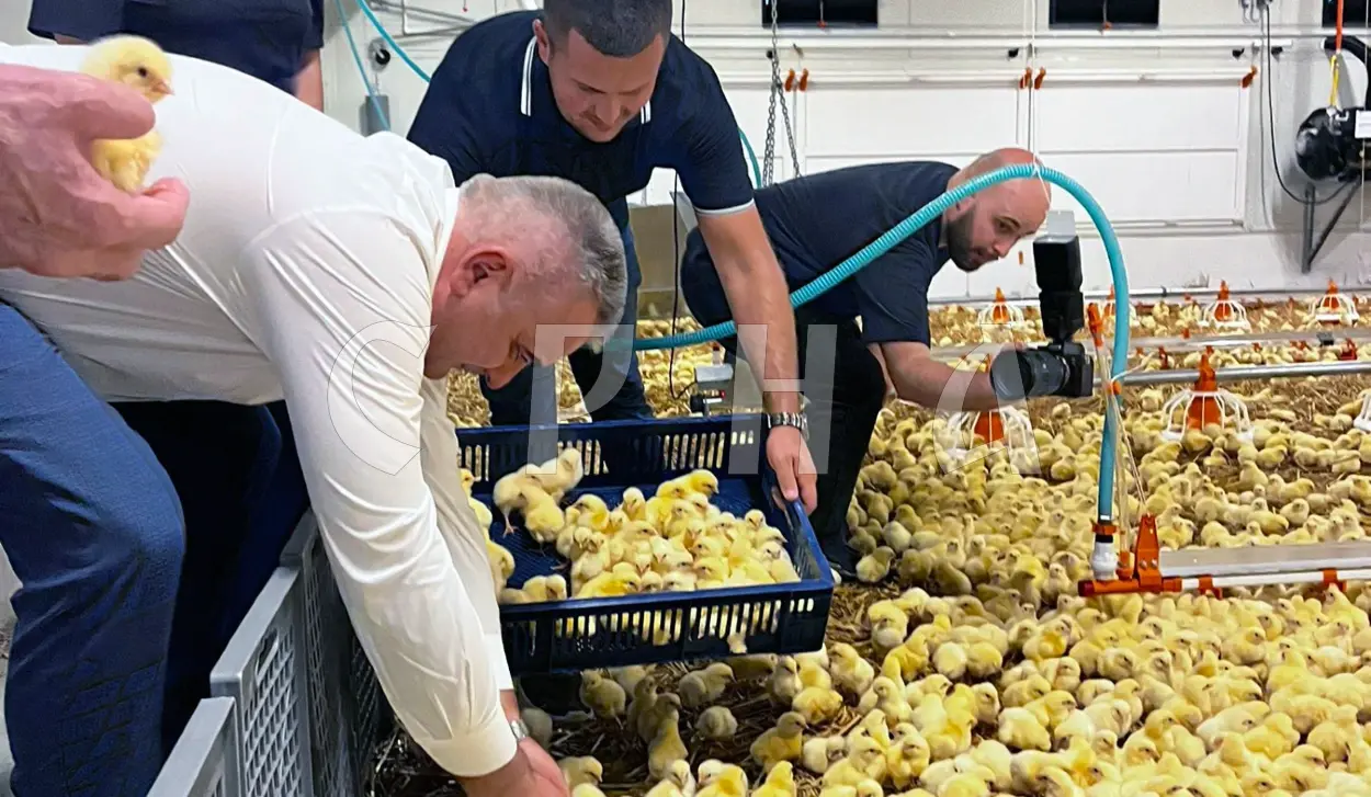 ANDRIĆ-FARM LEADER IN BROILER PRODUCTION AND MODEL FOR SUCCESSFUL BUSINESS
