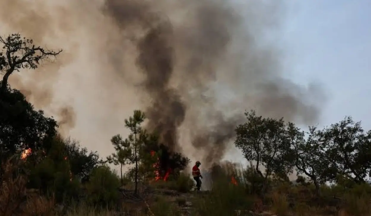 WILDFIRES ACCROSS EUROPE HAVE AFFECTED MORE THAN HALF A MILLION HECTARES