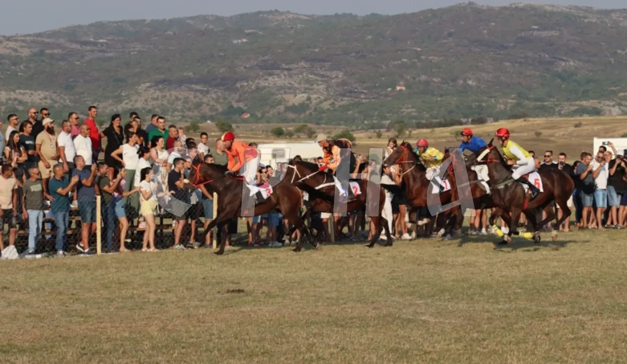151ST NEVESINJE OLYMPICS CONCLUDED WITH HORSE RACES