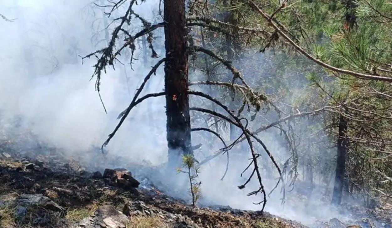 ACTIVE WILDFIRES IN AREAS OF SANSKI MOST AND BOSANSKO GRAHOVO