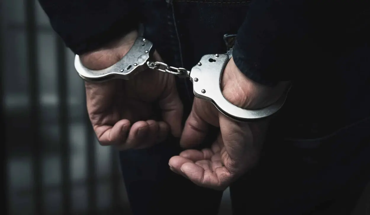 PERSON ARRESTED IN CONNECTION WITH THE ATTEMPTED MURDER OF DAVOR DABIĆ
