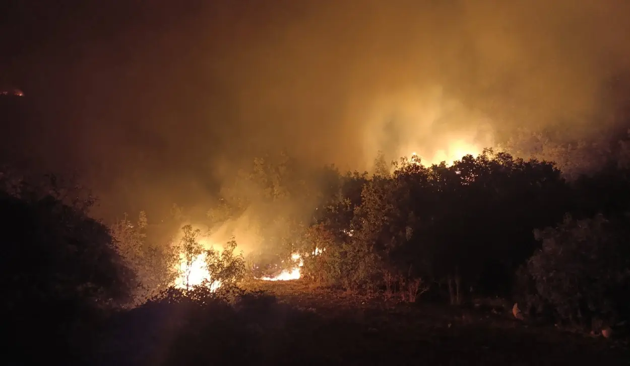 KAŠIKOVIĆ: SITUATION AT FIRE SITES STABLE