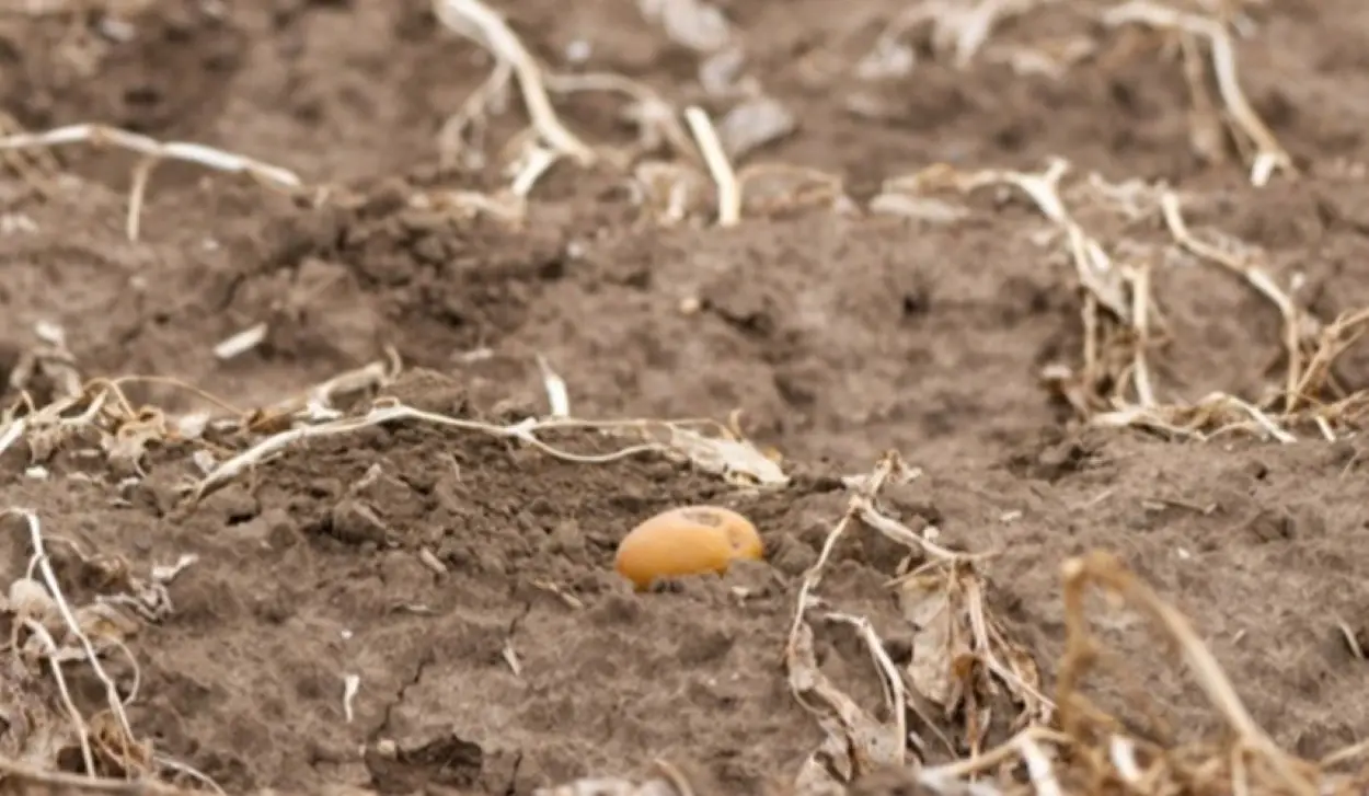 EU AGRICULTURE UNDER STRAIN