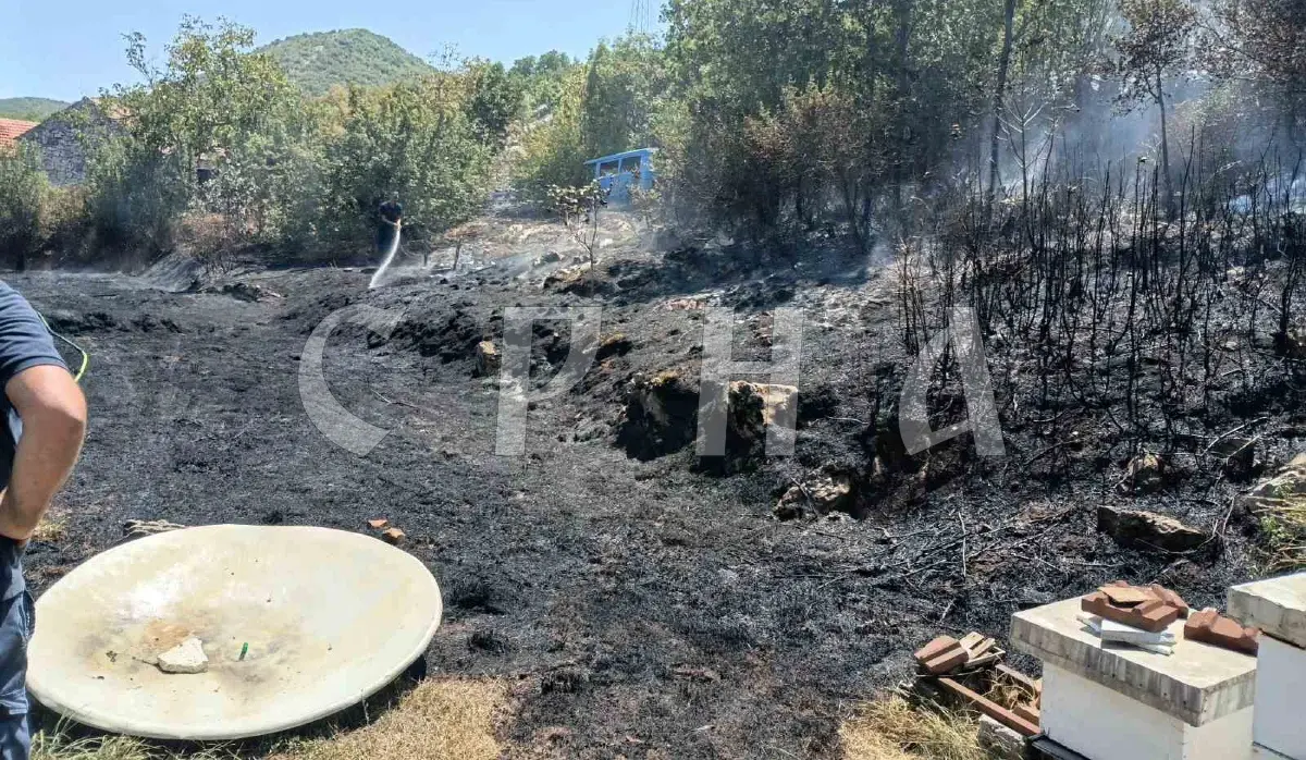 DAY-LONG BATTLE WITH THE FIRE, A HELICOPTER ARRIVES TO ASSIST