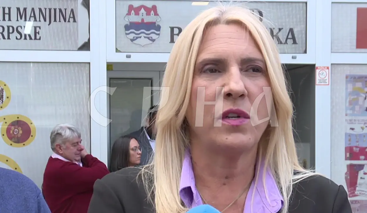 CVIJANOVIĆ: FOREIGN MEMBERS SHOWN DOUBTS IN COMMISSION'S WORK