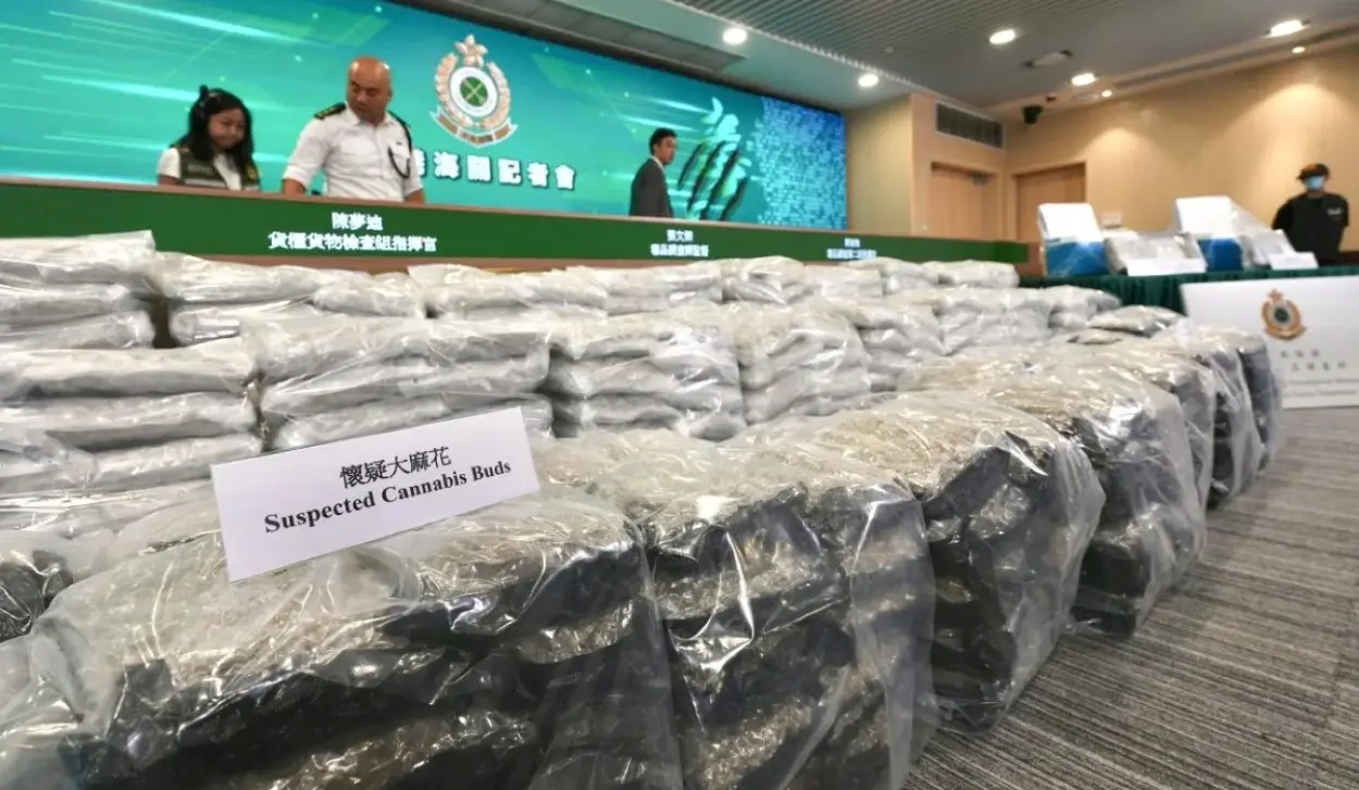 $16 MILLION WORTH OF CANNABIS SEIZED