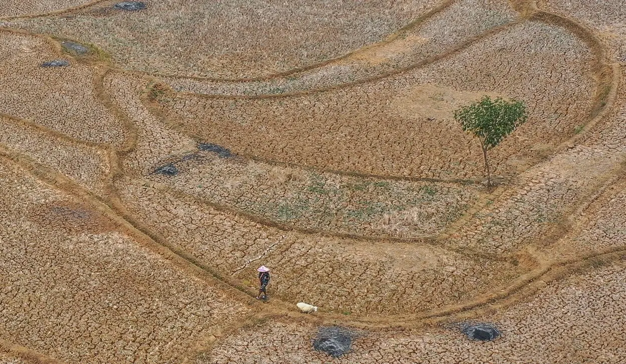 SCIENTISTS WARN: SUPER EL NIÑO COULD CLAIM MORE THAN 450,000 LIVES