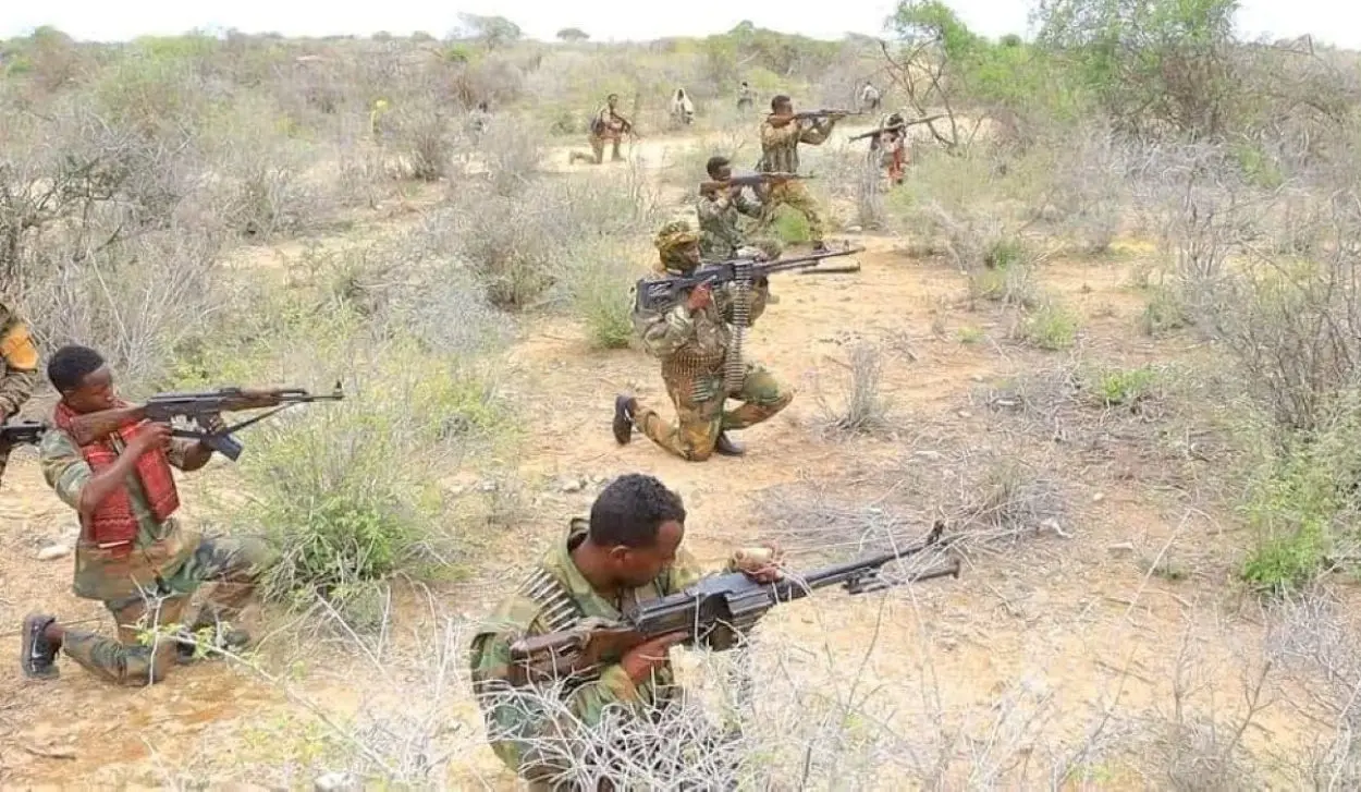 ARMED FORCES KILL 14 MILITANTS IN OPERATION