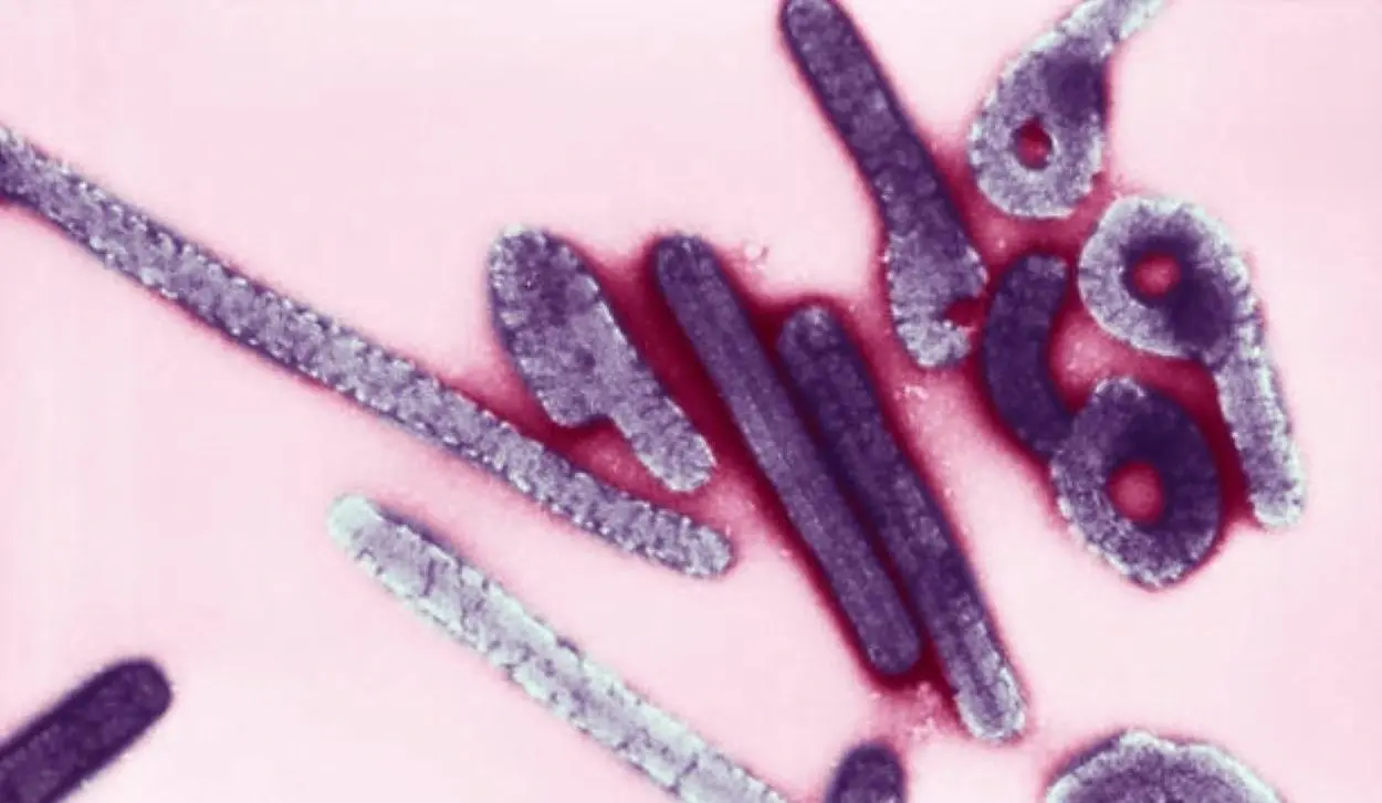 NUMBER OF EBOLA CASES EXCEEDS 10,000