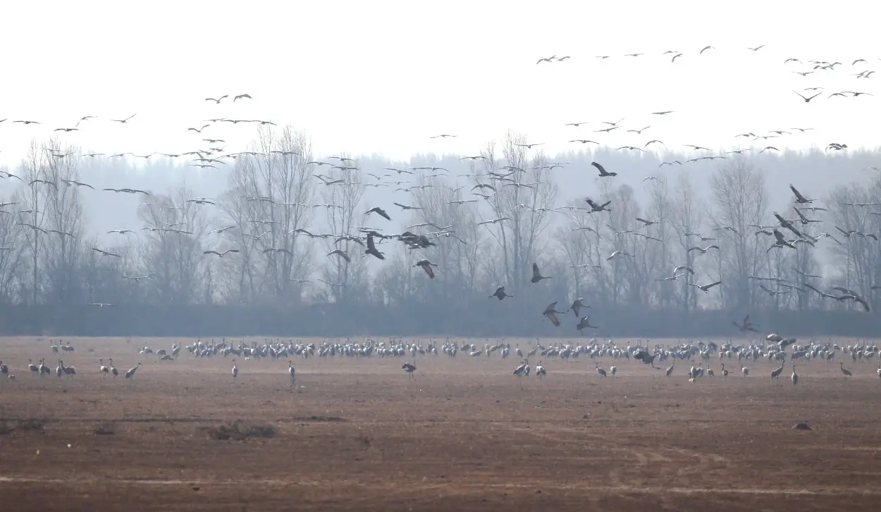YEYAHU WETLAND EARNS A SPOT ON GREEN LIST