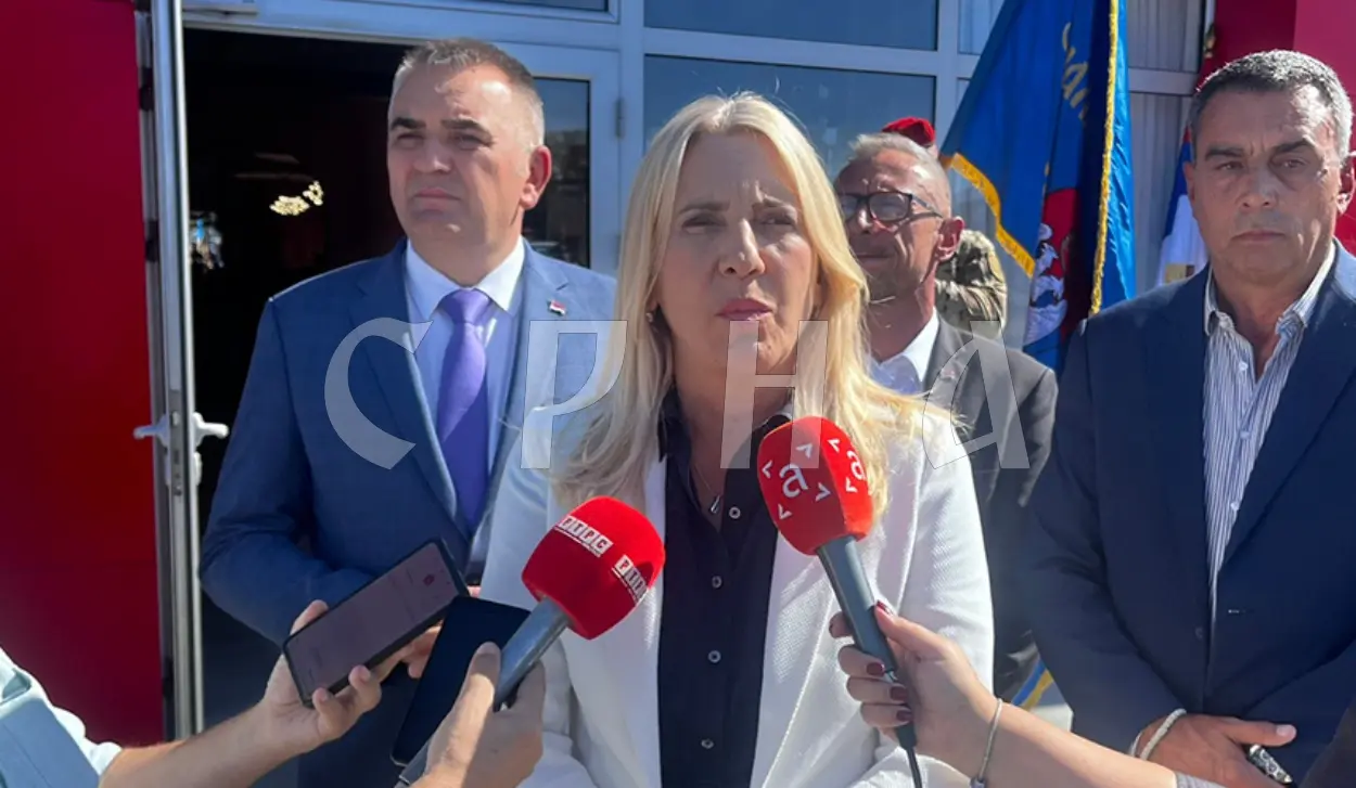 CVIJANOVIĆ CALLS FOR URGENT SOLUTION TO CONSULAR SECTION ISSUE