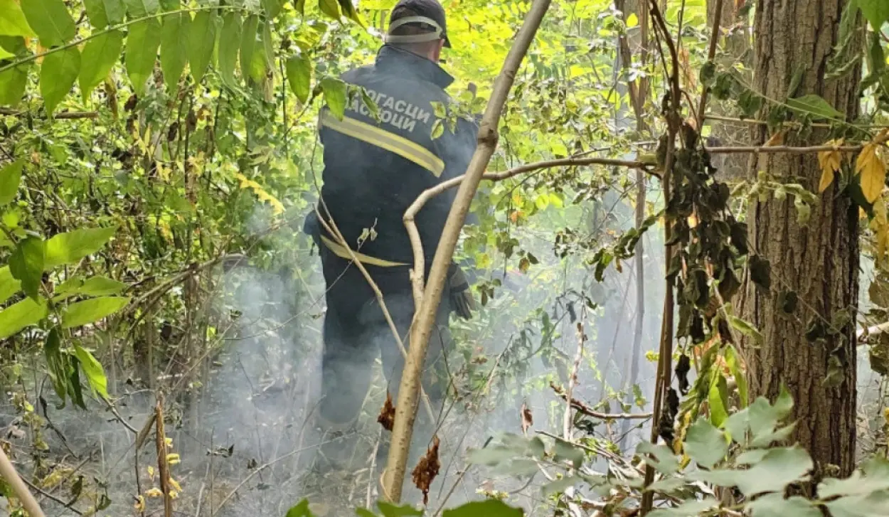 FIREFIGHTERS CONTAIN BLAZE THREATENING VILLAGE ON SLOPES OF STARA PLANINA