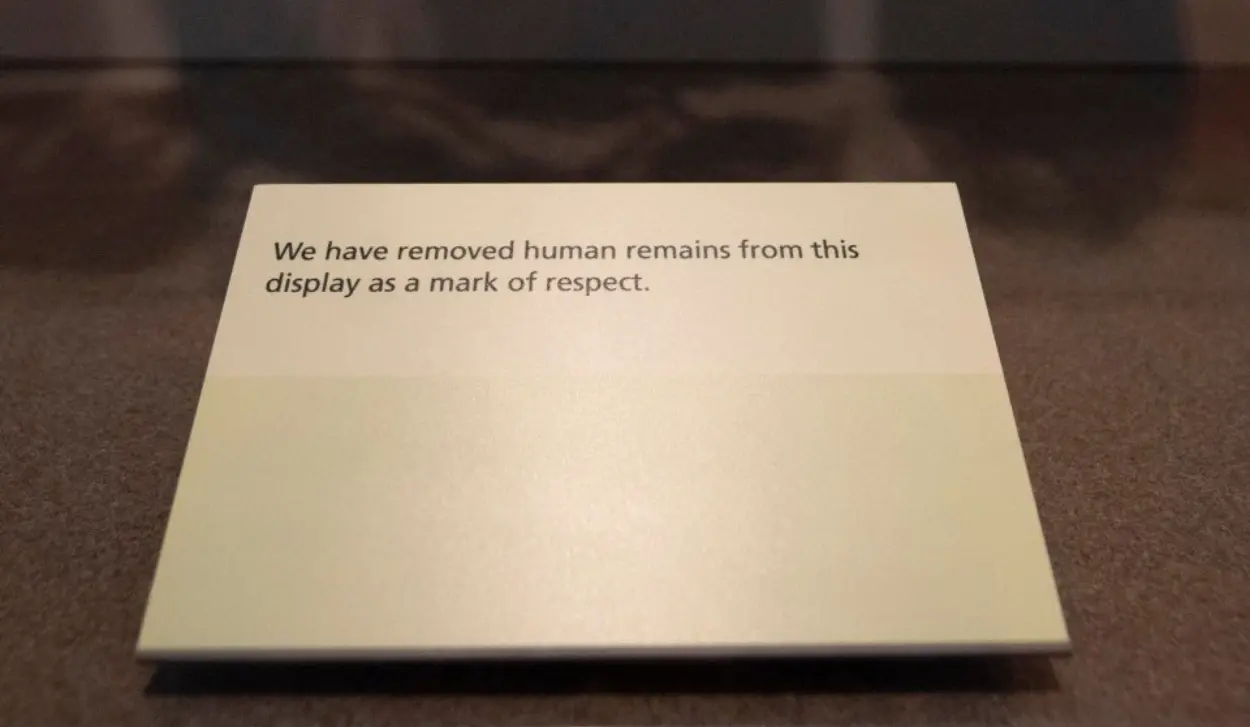 MUMMIES REMOVED FROM DISPLAY DUE TO LACK OF CONSENT