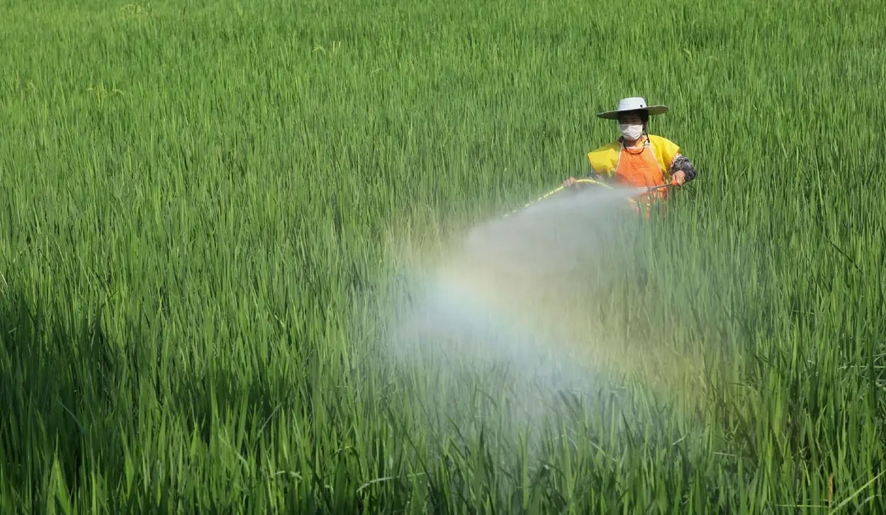 CHINESE SCIENTISTS DEVELOP MORE EFFECTIVE TYPES OF PESTICIDES