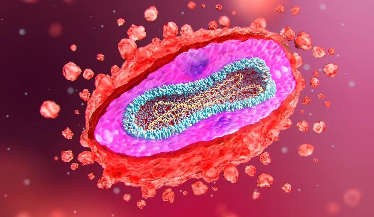 CANCER PATIENT DIES AFTER SUSPECTED HOSPITAL TRANSMISSION OF MPOX
