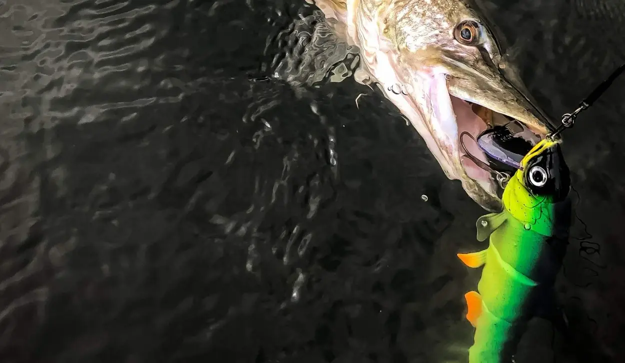 PIKE REMEMBER FISHING LURES