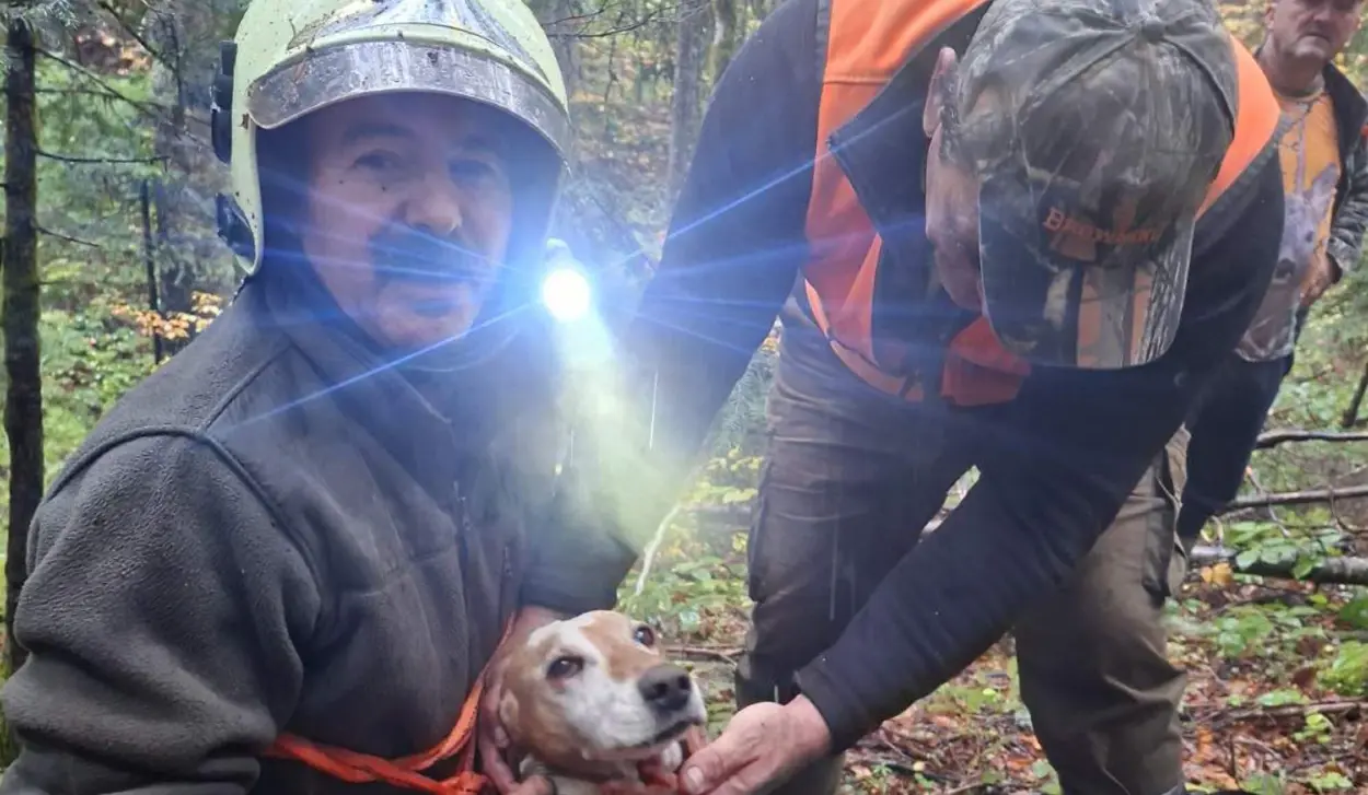 HUNTER RESCUES DOG FROM 70-METER-DEEP CAVE