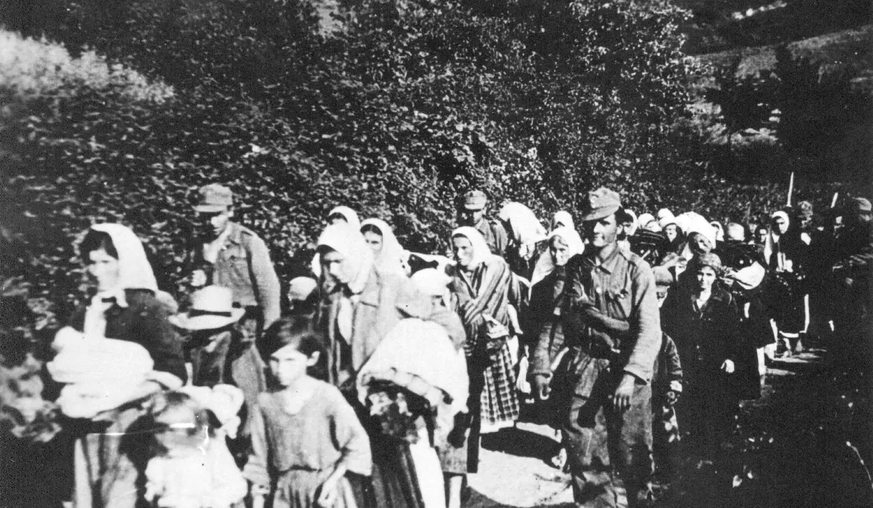 DOJČINOVIĆ: I AM STILL HAUNTED BY CRIES OF CHILDREN BEING TORN FROM THEIR MOTHERS